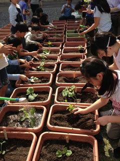 130520mukou02.jpg