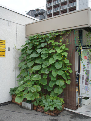 140707gc01_s.jpg