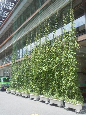 140711ecocen.jpg