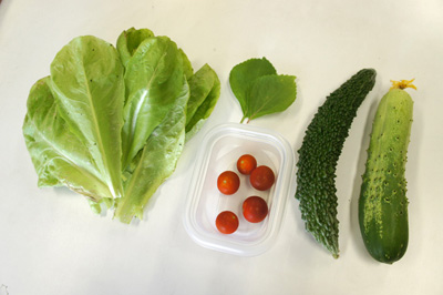 140714salad01_s.jpg