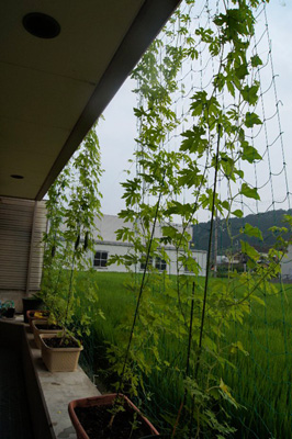140722_1f_nishi_s.jpg