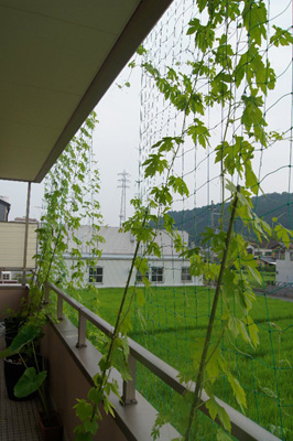 140722_2f_higashi_s.jpg