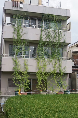 全館西814.jpg