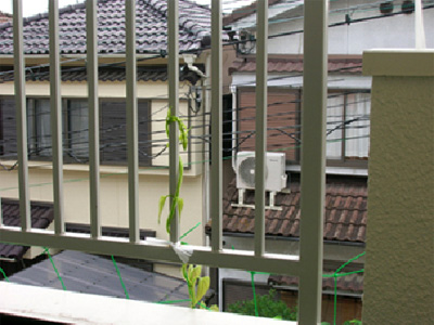 daisho07.jpg