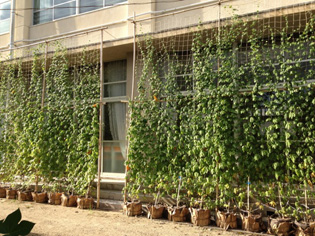 kouyou1208293.jpg