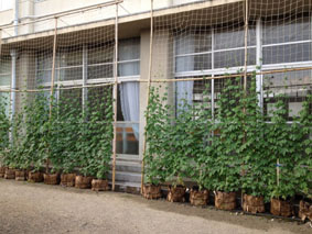 kouyousyougakkou1210031.jpg