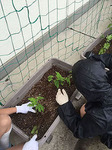 saganakadai5062016-7.jpg