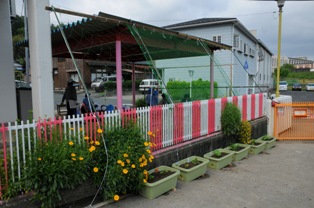 yosano090529.jpg