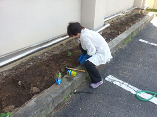 130517wazuka03.jpg