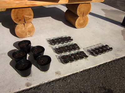 140401tanemaki03_s.jpg