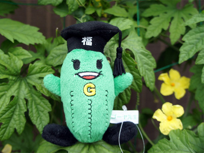 140703fukuchiyama01_s.jpg